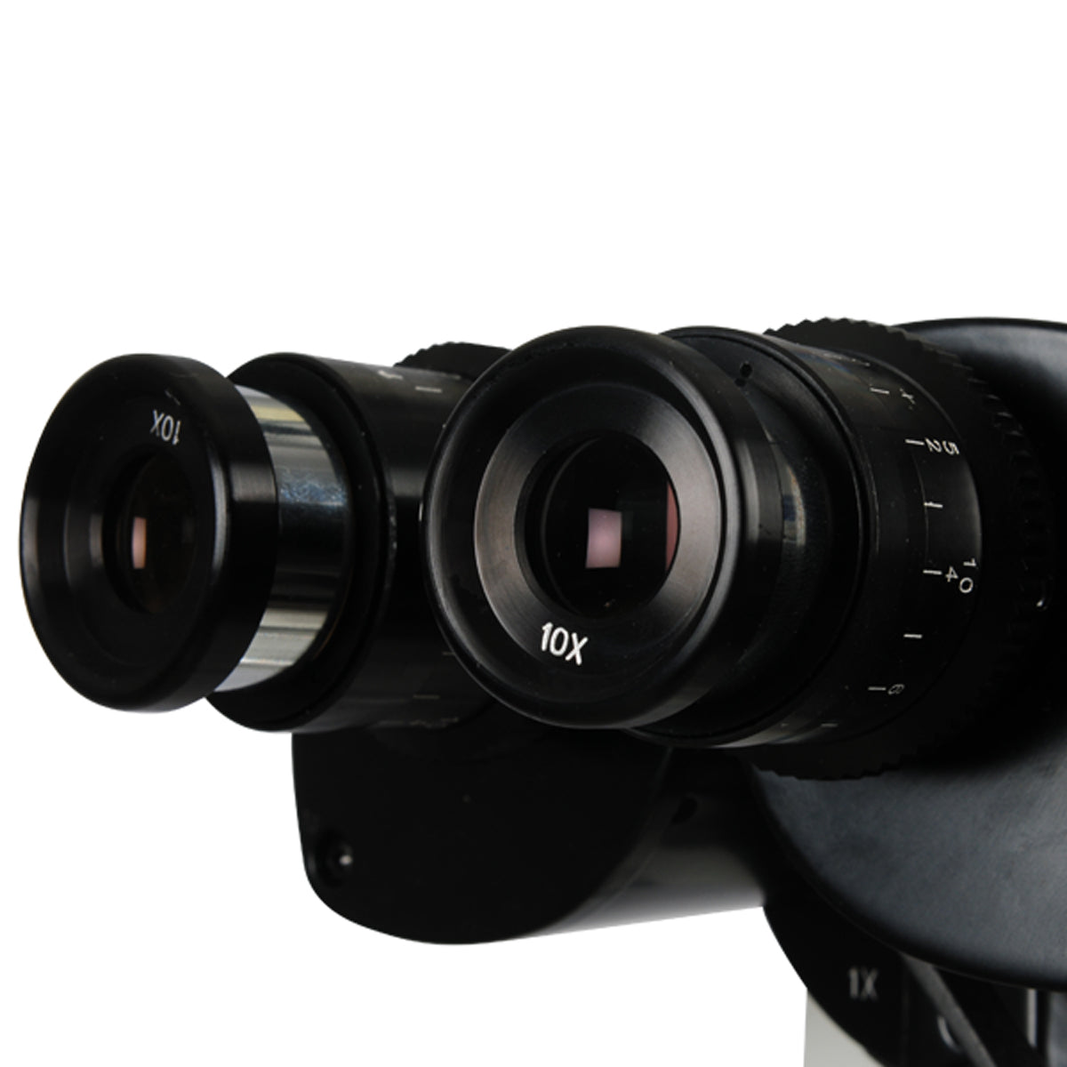 Luxvision Ezer ESL-5200 Lámpara de Hendidura
