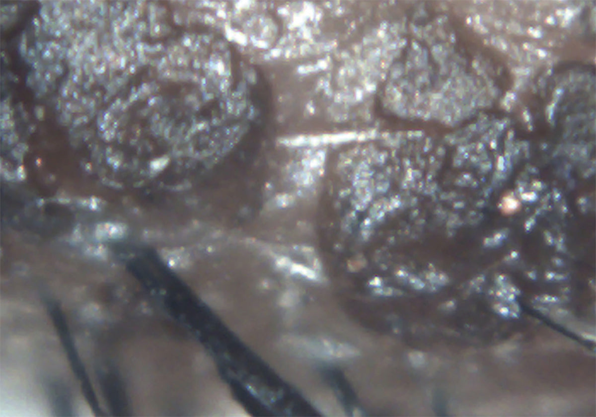 Ezer Ojo Seco Sapphire — imagen de detalle 8 de 28