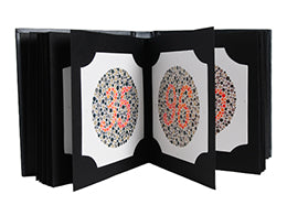 Luxvision Prueba de Visión en Color Ishihara-38 — imagen de detalle 1 de 3